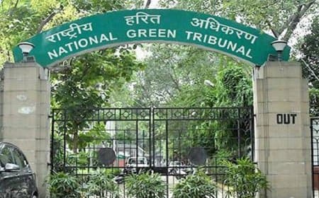 एनजीटी ने कहा- कानून लागू करने वाले ही तोड़ेंगे तो रक्षा कौन करेगा...