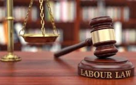 केंद्र सरकार ने चार नए श्रम कानून (Labour Codes) किए लागू: श्रमिकों को सामाजिक सुरक्षा और गिग वर्कर्स को पहचान