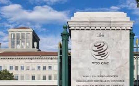 WTO में भारत के खिलाफ चीन की नई शिकायत: ICT और सोलर सब्सिडी पर बढ़ा विवाद