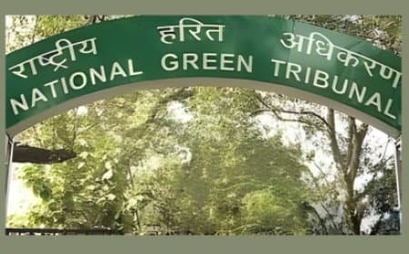 भोपाल अयोध्या बायपास 10-लेन प्रोजेक्ट: NGT ने 7871 पेड़ों की कटाई पर लगाई रोक