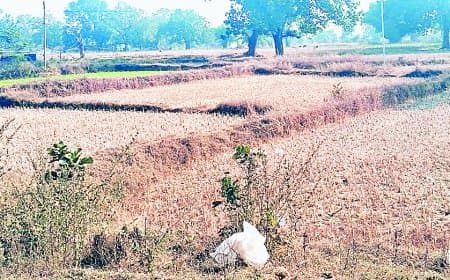 सिर्फ चार घंटे बिजली, अंधेरे में जीने को मजबूर ग्रामीण, खेती-पढ़ाई बुरी तरह प्रभावित
