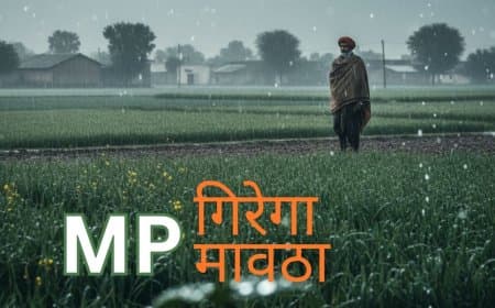 MP मौसम अपडेट: 15 जनवरी से सक्रिय होगा स्ट्रॉन्ग पश्चिमी विक्षोभ, कई जिलों में 'मावठा' के आसार