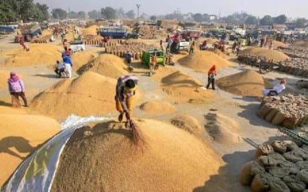 मध्यप्रदेश: किसानों से 2600 रुपए क्विंटल गेहूं खरीदेगी सरकार