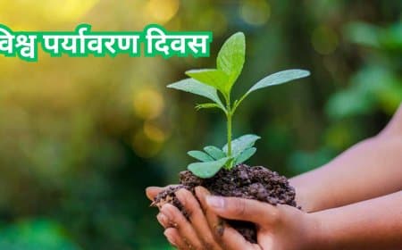 पर्यावरण संकट: प्रदूषण से 81 लाख मौतें, 2050 तक 1.4 करोड़ का खतरा