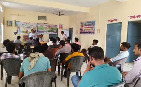 धान की फसल में लगने वाले मुख्य रोग की पहचान एवं नियंत्रण के बताएं उपाय 