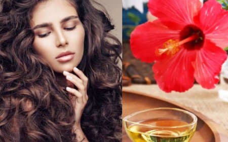बालों को खूबसूरते बनाने ऐसे तैयार करें गुड़हल के फूलों से तेल