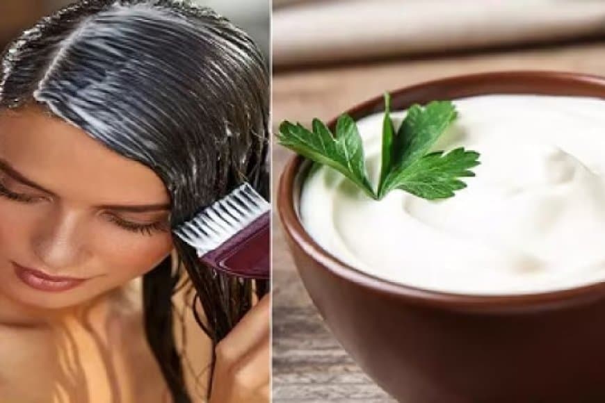 लंबे-घने-सिल्की बाल पाने की है चाहत तो अपनाएं ये नुस्खा, घर पर ही बनाएं दही का हेयर पैक