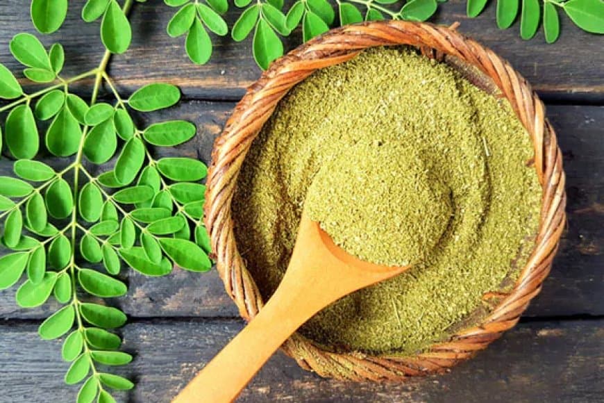 पौधा एक औषघीय गुण अनेक- नियमित सेवन से इम्यूनिटी होगी बूस्ट