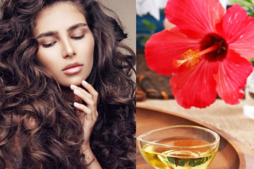 बालों को खूबसूरते बनाने ऐसे तैयार करें गुड़हल के फूलों से तेल
