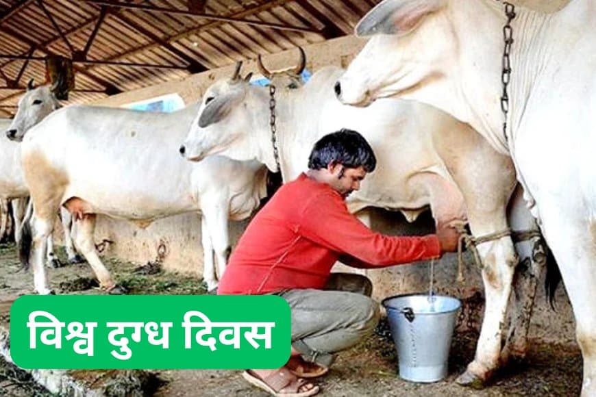 श्वेत क्रांति का संकल्प, मध्यप्रदेश में चुनौतियां हैं बहुत