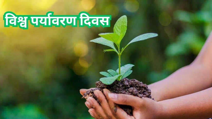 पर्यावरण संकट: प्रदूषण से 81 लाख मौतें, 2050 तक 1.4 करोड़ का खतरा