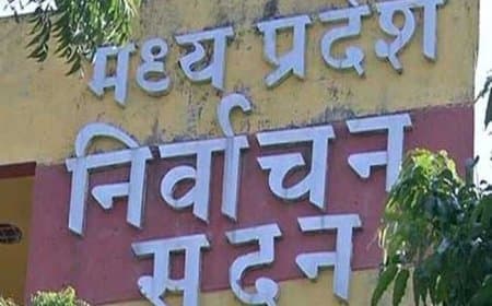 निकाय उपचुनाव...छह वार्डों में भाजपा का कब्जा और तीन में सिमटी कांग्रेस