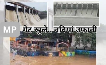 MP  में 'मूसलाधार' कहर: बाणसागर-सतपुड़ा डैम के गेट खुले