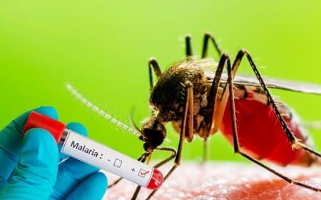 आत्मनिर्भर भारत... देश की पहली स्वदेशी मलेरिया वैक्सीन तैयार 
