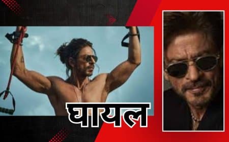 शाहरुख खान फिल्म 'किंग' के सेट पर घायल, शूटिंग रुकी; जानें पूरी खबर