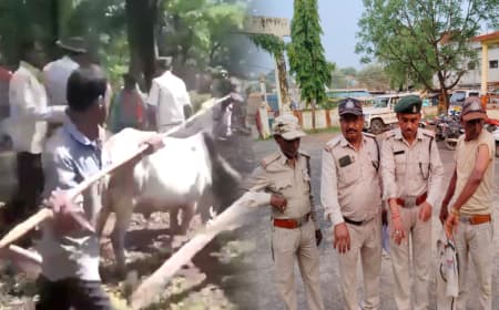 MP वन कर्मियों पर हमले बढ़े, कटनी में ग्रामीणों ने डिप्टी रेंजरों सहित 5 को पीटा