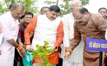 मुख्यमंत्री डॉ. मोहन यादव ने किया पौधरोपण, बोले- 'स्वच्छ पर्यावरण का उपहार'