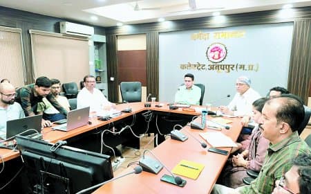 राजस्व प्रकरणों का शीघ्र एवं प्रभावी निराकरण करें अधिकारी: कलेक्टर हर्षल पंचोली
