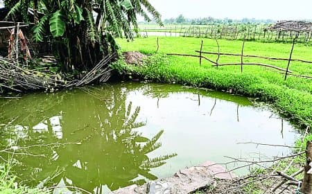 मझगवां के केल्हौरा गांव में कुआं धंसने से 150 ग्रामीणों के सामने पीने के पानी का संकट, एक माह से नहीं जागा प्रशासन