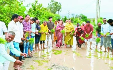 सड़क नहीं बनी, तो खेत बना दी! सतना के ग्रामीणों ने टूटी सड़क पर रोपी धान, राज्यमंत्री के क्षेत्र में अनोखा विरोध, कांग्रेस का साथ – उग्र आंदोलन की चेतावनी