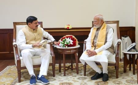 पीएम मोदी और गृहमंत्री शाह से मिले सीएम मोहन  