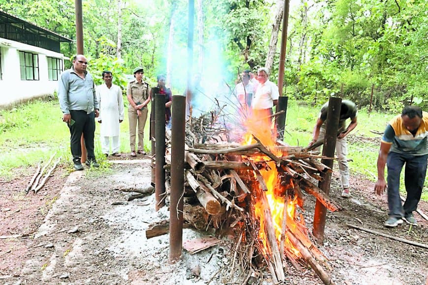 बाघ की मौत: नौ साल बाद भी नहीं लिया सबक