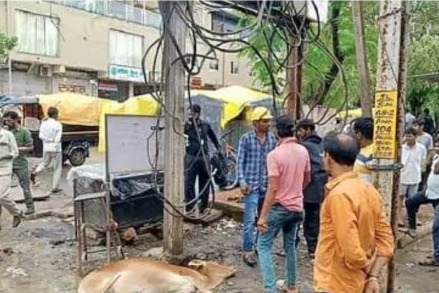 60% ट्रांसफार्मर असुरक्षित, जमीन छू रही केबल, खुले सर्किट पैनल