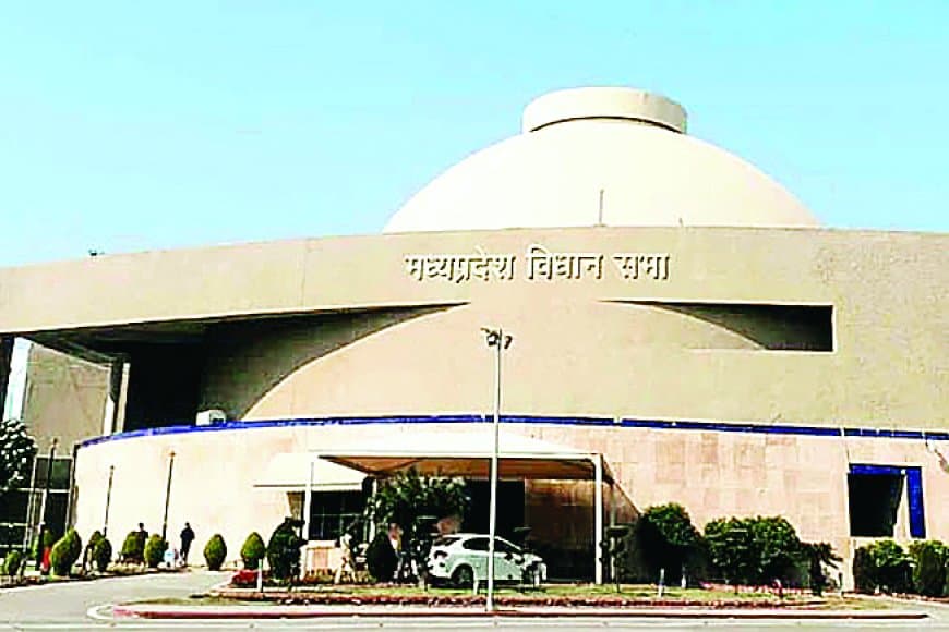 सतना जिले के 214 गांव अब भी नक्शा विहीन, मंत्री के जवाब से नहीं मिला समाधान — विधायक बोले, क्या छह साल भी कम हैं?