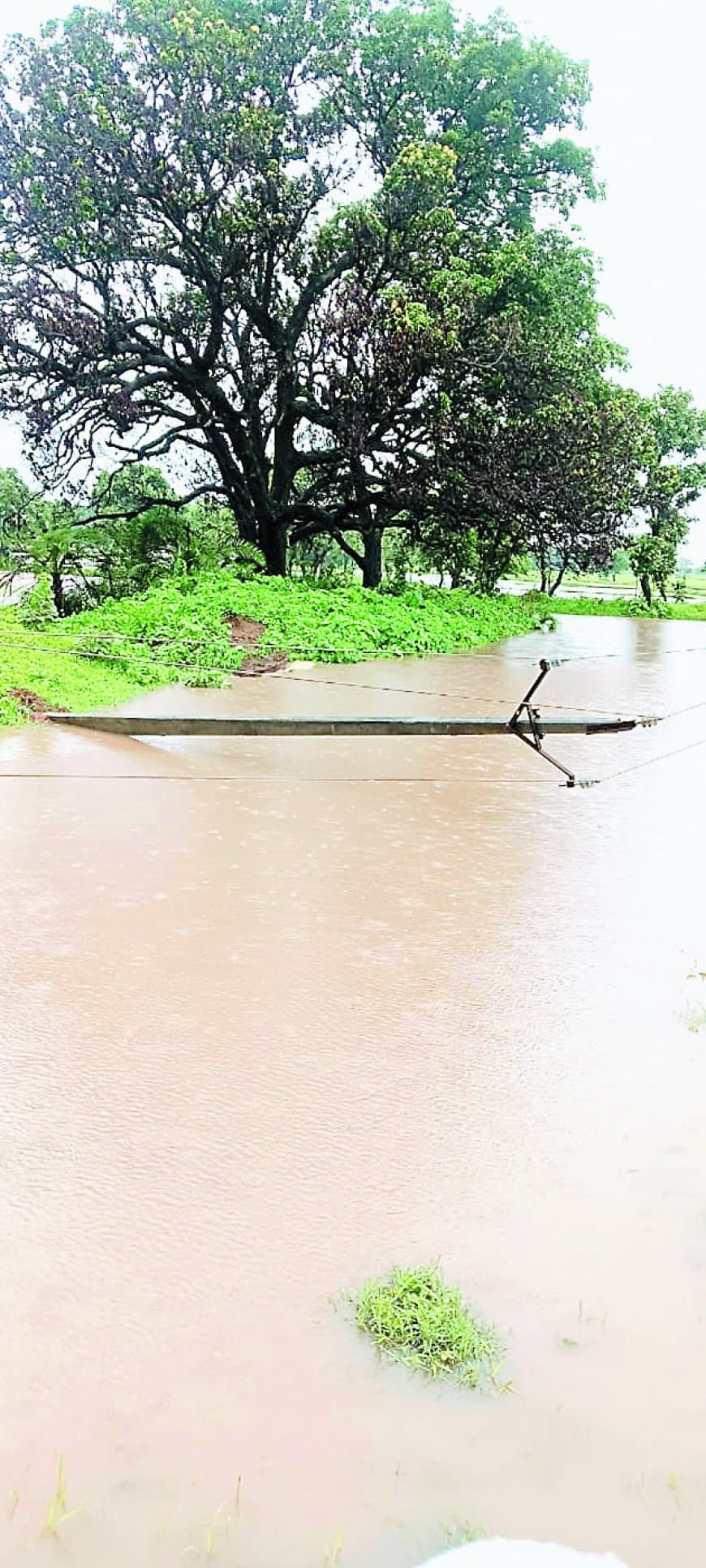 बारिश से  चरमराई विद्युत वितरण व्यवस्था