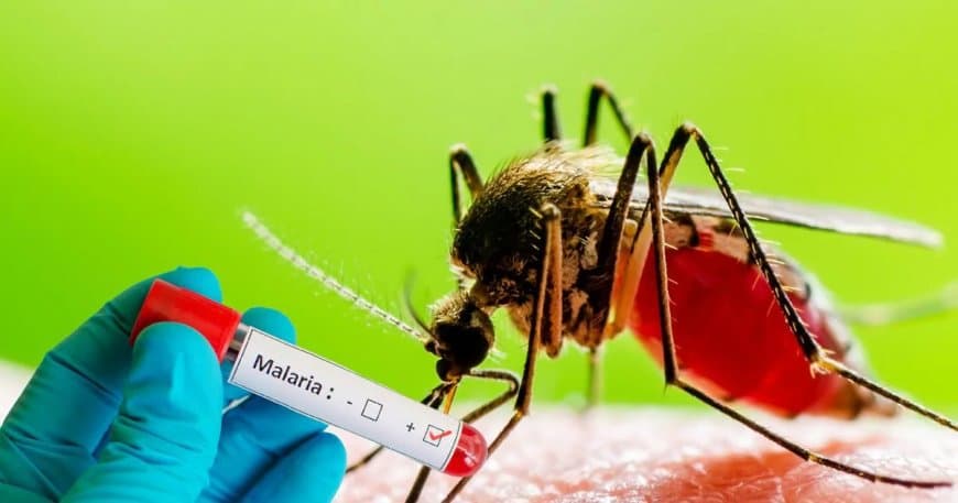आत्मनिर्भर भारत... देश की पहली स्वदेशी मलेरिया वैक्सीन तैयार 