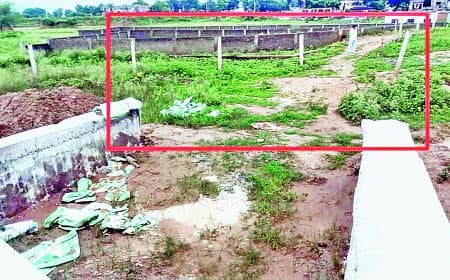 सड़क नहीं, फिर भी खेत में बन गया पुल! सिंगरौली के नौढ़िया गांव में भ्रष्टाचार की अनोखी मिसाल
