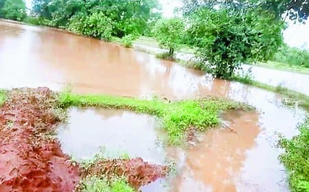 अधिकारियों के आदेश को ठेंगा: नाला बंद, फसल बर्बाद – किसान बेहाल