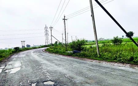 बिना अनुमति पीडब्ल्यूडी की सड़क पर गाड़े जा रहे विद्युत पोल, सौ पेड़ों की अवैध कटाई से मचा हड़कंप — जनता में आक्रोश, प्रशासन बेपरवाह