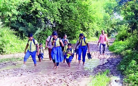 आजादी के 75 साल बाद भी सड़क को तरसता गुलुआ गांव: कीचड़, दलदल और इंतज़ार में बीते दो दशक
