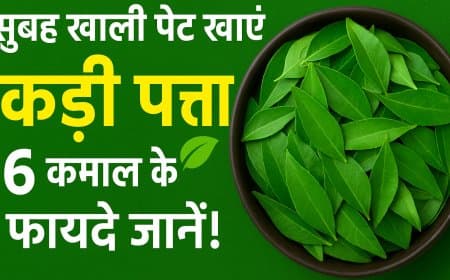 सुबह खाली पेट खाएं 4-5 कढ़ी पत्ते, सेहत में आएंगे ये 6 कमाल के बदलाव 