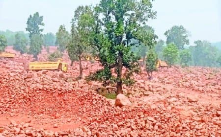 रीवा के टीकर जंगल में बाक्साइड खनन की तैयारी: दो कंपनियों ने वन भूमि पर डाला दावा, जैव विविधता और हजारों पेड़ खतरे में