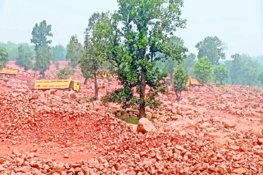 रीवा के टीकर जंगल में बाक्साइड खनन की तैयारी: दो कंपनियों ने वन भूमि पर डाला दावा, जैव विविधता और हजारों पेड़ खतरे में