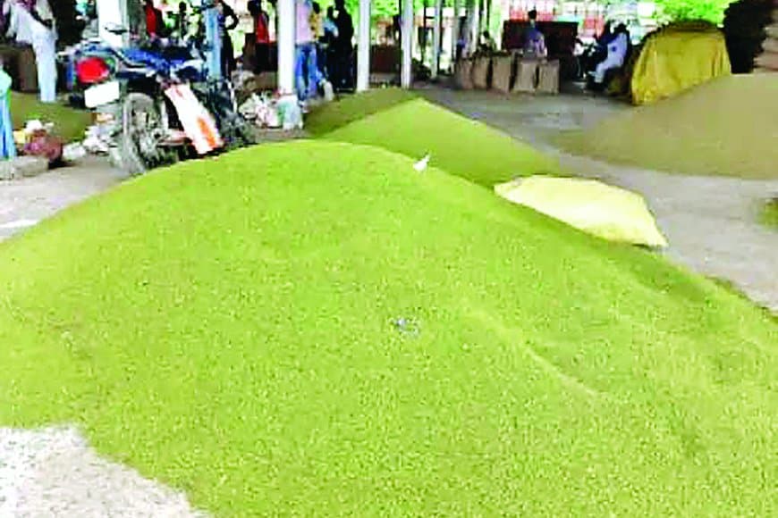 सतना-मैहर में लक्ष्य से अधिक खरीदी गई मूंग पर फंसा भुगतान: आधा सैकड़ा किसानों के 56 लाख अटके, प्रदेशभर में 1.38 लाख किसान 3398 करोड़ के इंतज़ार में