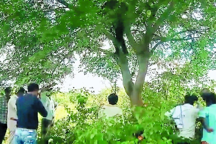 अमानगंज के जंगल में मिला अज्ञात नरकंकाल – लाल गमछे के फंदे से सनसनी, ग्रामीणों में दहशत और लापता युवक से जोड़कर कयास