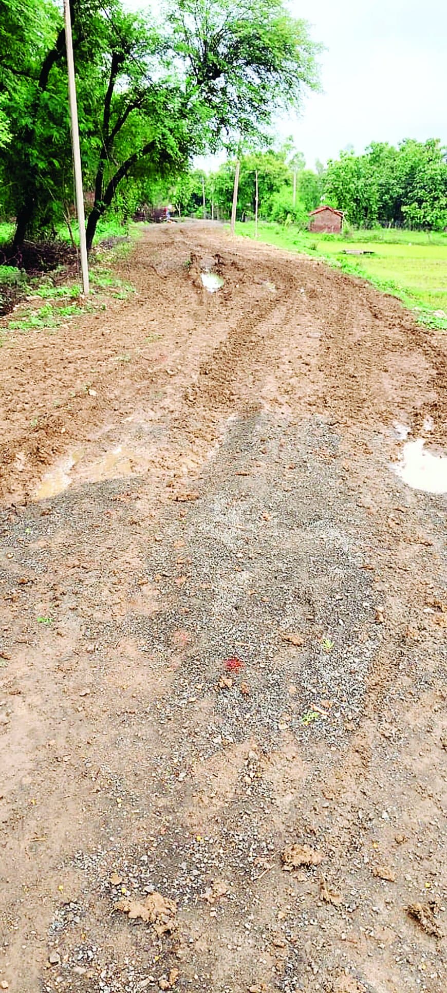 सतना जिले के पैपखरा में दबंगों ने रोका सड़क निर्माण, PWD ने साधी चुप्पी — ग्रामीणों में गहरा आक्रोश, अनशन की चेतावनी