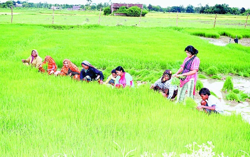 अब खेत की फसल की जानकारी मिलेगी सीधे मोबाइल पर: मध्यप्रदेश में शुरू हो रही गिरदावरी फीडिंग की डिजिटल सुविधा, किसान खुद भी कर सकेंगे फसल दर्ज