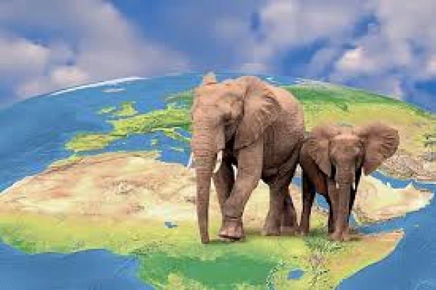 विश्व हाथी दिवस: हाथियों के संरक्षण का एक वैश्विक संकल्प