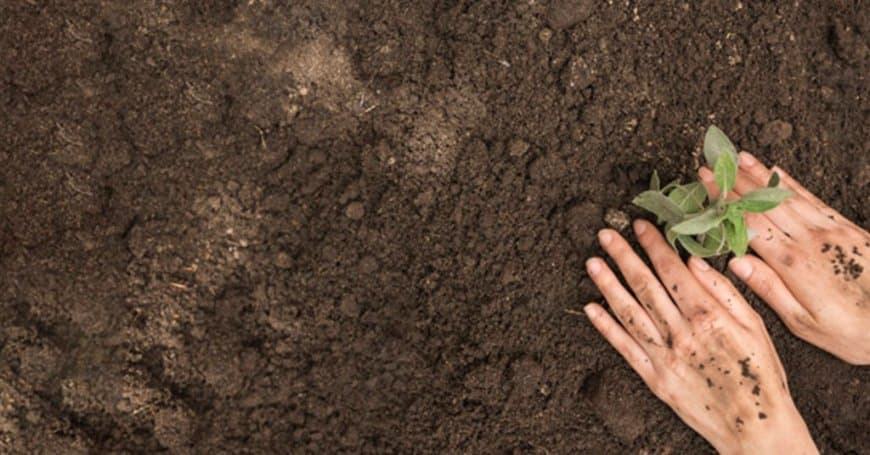 मैहर जिले में पौधारोपण घोटाले की जांच: विधायक के आरोप पर एक-एक पौधे का होगा सत्यापन, खाद वितरण और किसान क्रेडिट कार्ड में भी आंकड़ों की बाजीगरी उजागर