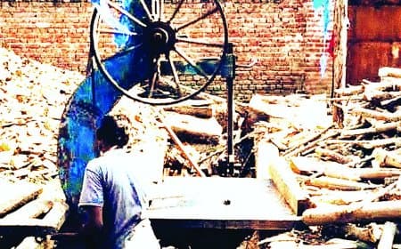 सीधी जिले में अवैध लकड़ी कारोबार पर वन विभाग की मेहरबानी: आरा मशीनों से लेकर फर्नीचर दुकानों तक बिना रोकटोक जारी काला धंधा