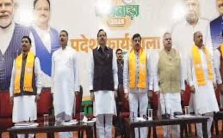 कांग्रेस पर बरसे सीएम मोहन यादव, बोले- 'शुतुरमुर्ग' की तरह जनता को गुमराह कर रही