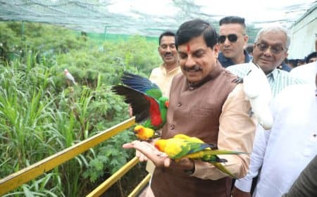 मध्यप्रदेश... सीएम मोहन बोले- पशु-पक्षियों के लिए असीम संभावनाएं