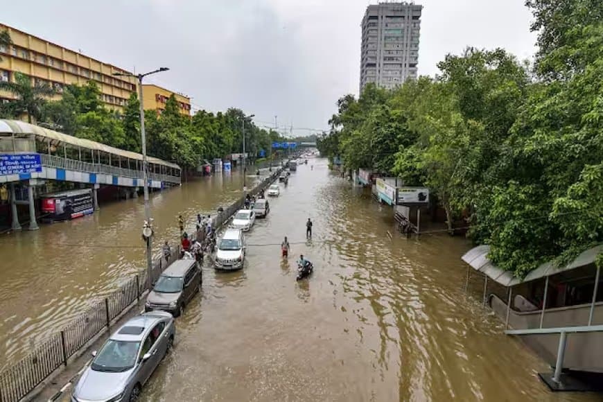 पंजाब में 30 की मौत... आपदा प्रभावित राज्य घोषित... दिल्ली में यमुना ने बढ़ाई धड़कन