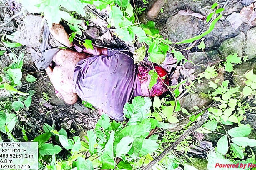 सिंगरौली में दहशत: दो भालुओं ने तीन युवकों पर बोला हमला, दो की मौके पर मौत, एक गंभीर रूप से घायल