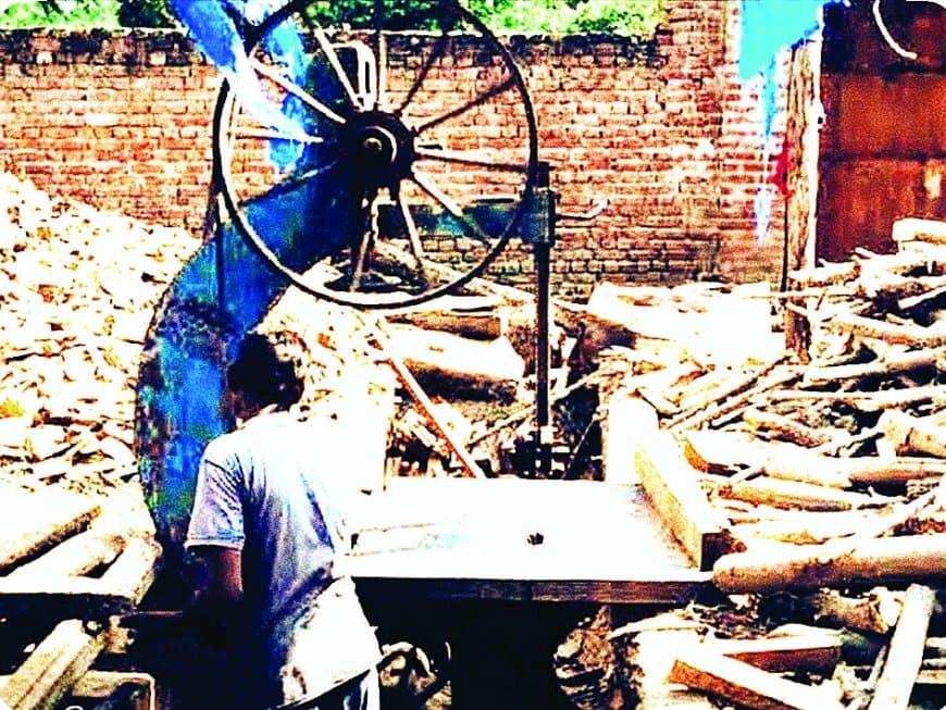 सीधी जिले में अवैध लकड़ी कारोबार पर वन विभाग की मेहरबानी: आरा मशीनों से लेकर फर्नीचर दुकानों तक बिना रोकटोक जारी काला धंधा