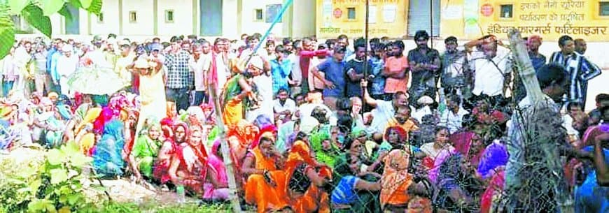 छह दिन से लाइन में खड़े किसान खाली हाथ लौट रहे – सिरमौर में यूरिया संकट से धान की फसल पीली, प्रशासन की बेरुख़ी पर भड़के ग्रामीण